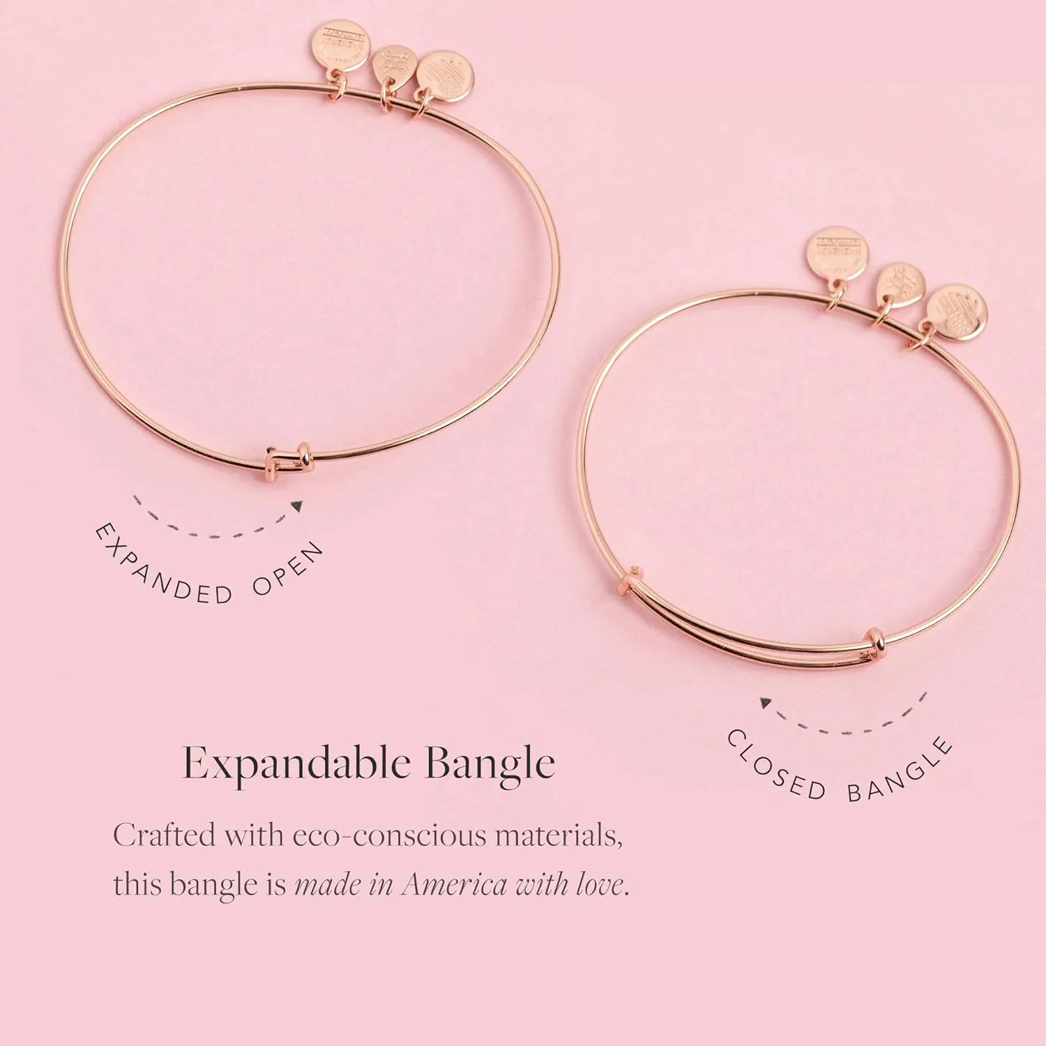 Alex and Ani Because I Love You Expandable Wire Bangle Bracelet for Women, Meaningful Charms, 2 to 3.5 in