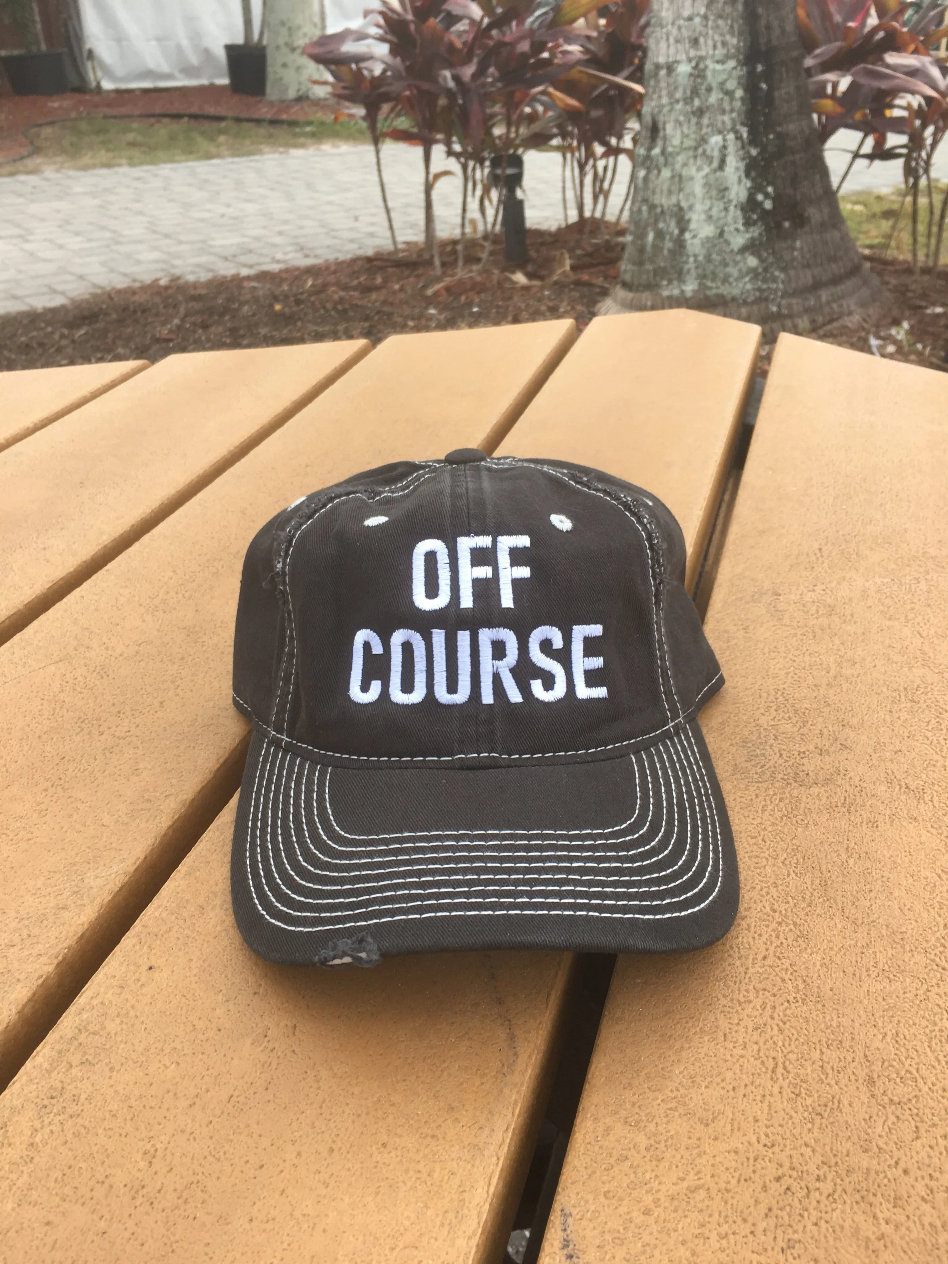 Baseball Caps- Fun Sayings