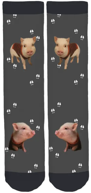 Limited Edition Pumpernickel The Mini-Pig Bamboo Crew Socks!