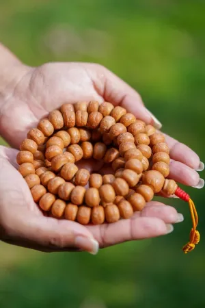 Natural Bodhi Seed 12mm 108 Mala Beads, Spiritual, Meditation Beads, Reiki, Japa Mala, Buddhist Prayer Beads, Yoga Bracelet, healing beads LKMALA-RRGU-52, 34 inch, brown